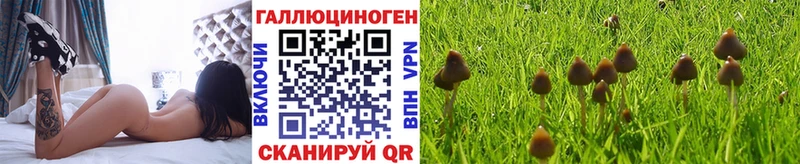 Псилоцибиновые грибы GOLDEN TEACHER  сколько стоит  Саянск 